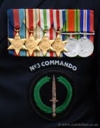 Medals; Normandy; Veteran;